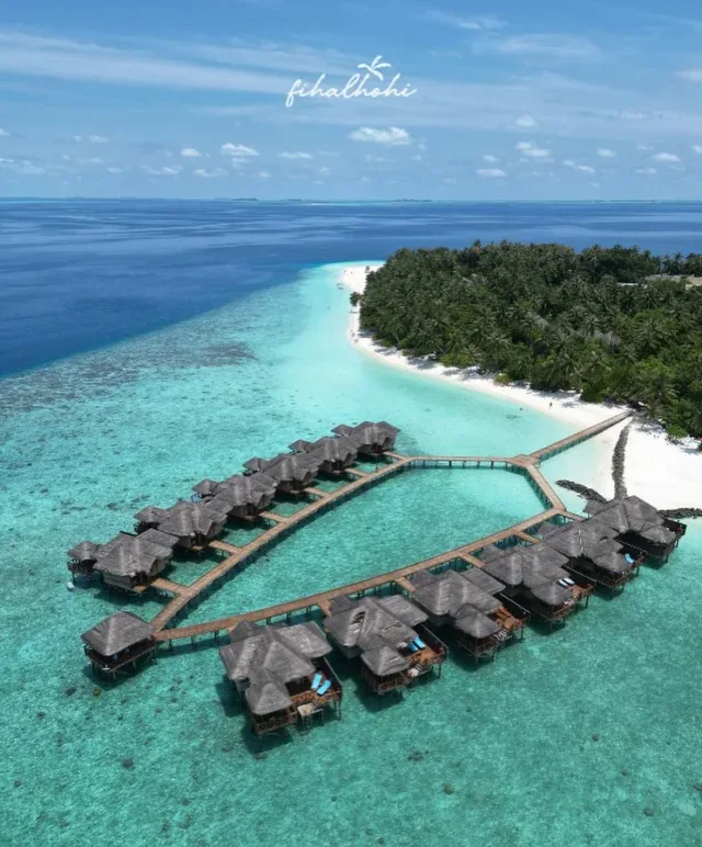 Fihalhohi Maldives: A Classic Island Escape Just 45 Minutes from Malé featured image