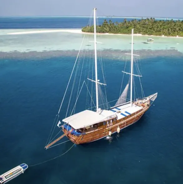 Liveaboards travel experiences in the Maldives