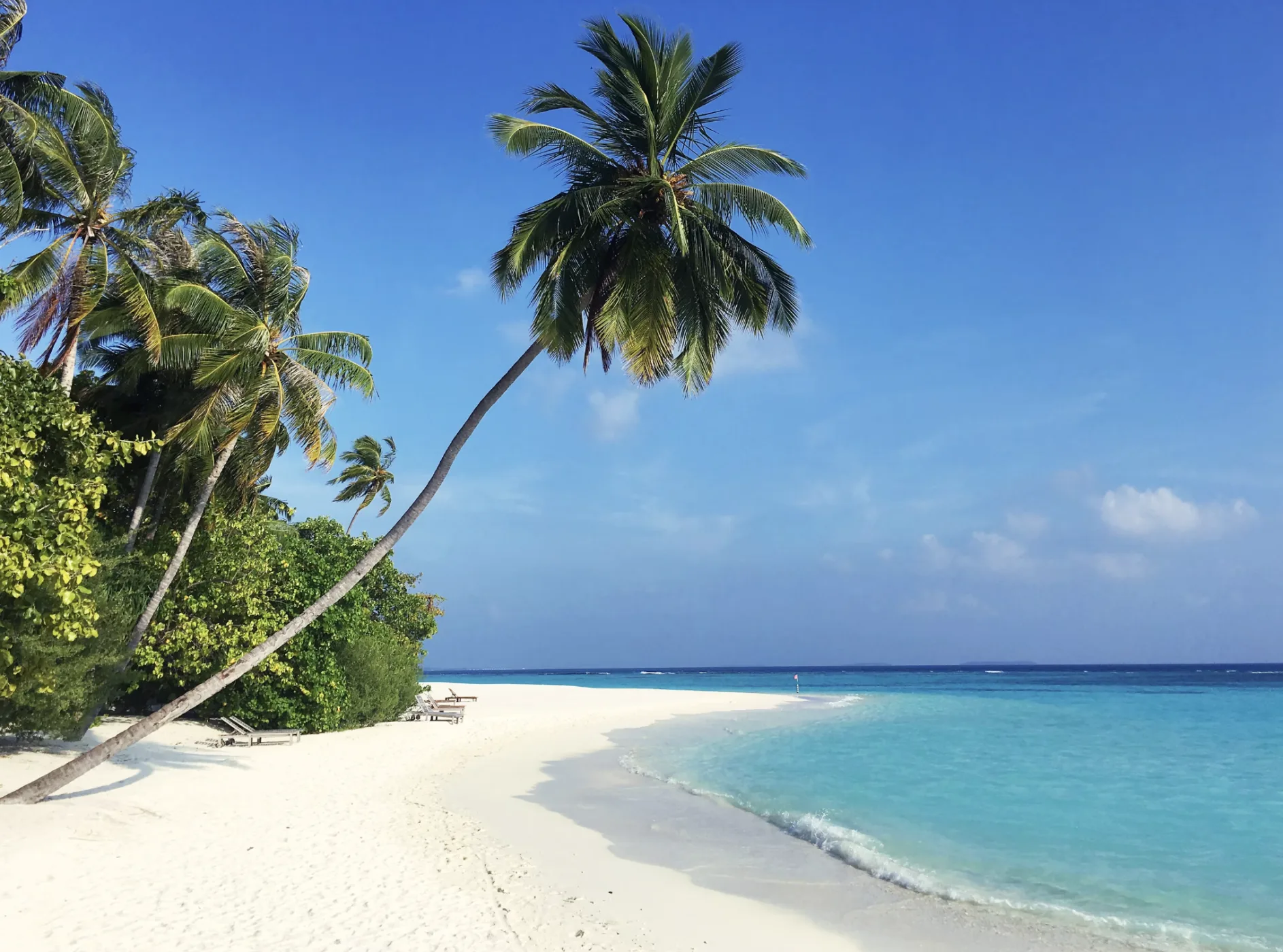 Liveaboard Maldives gallery image